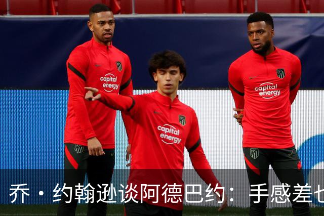 乔·约翰逊谈阿德巴约：手感差也得出手20次 他可是83分先生