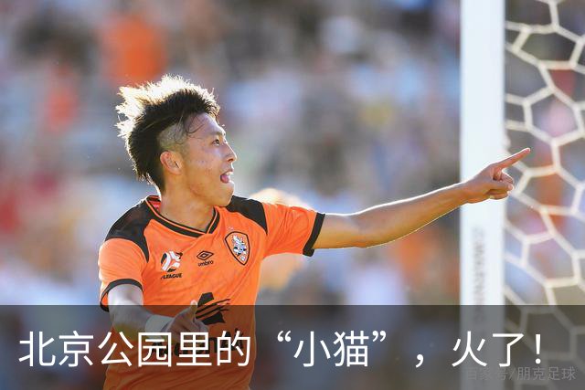北京公园里的“小猫”，火了！