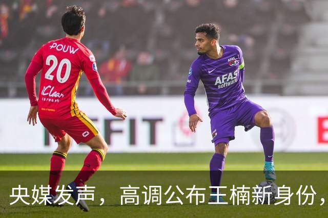 央媒发声，高调公布王楠新身份，资产查封被带走调查传闻早有真相