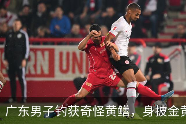 广东男子钓获奇怪黄鳝，身披金黄蟒纹，网友：快放生！准备化蛟了！